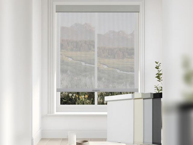 Lot 96-177750 - Persilux Roller Window Shades for Home, Free-Stop Cordless Solar Shades, 5% Openness Light Filtering...