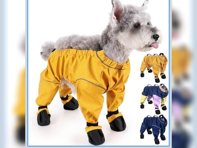 Lot 96-192093 - Waterproof Dog Boots Rain Boots with Suspender, Dogs Shoes Paw Protector for Small Medium Puppy, Ant...