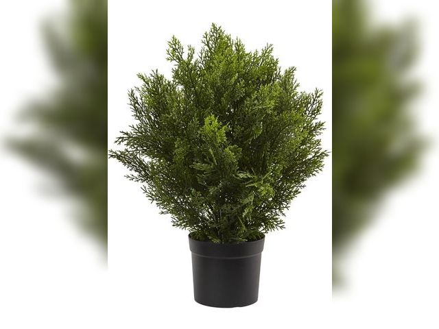 Lot 96-180851 - Nearly Natural 2ft. Cedar Artificial Bush (Indoor/Outdoor)
New