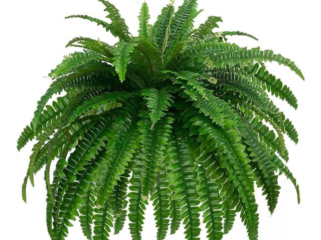 Lot 96-166775 - Large Fake Boston Ferns, 88 Branches Artificial Ferns, Faux Fern Plants for Home, Office, Garden Ind...