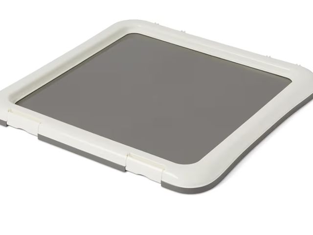 Lot 96-211341 - Amazon Basics Dog Training Pad Holder with Secured Latches, Extra Thick and Non-Slip Base, Recycled ...