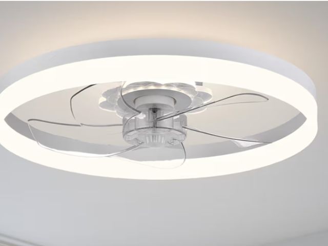 Lot 96-190449 - 20‘’ Ceiling Fan with Light, Upgraded Low Profile Fan, Flush Mount Ceiling Fan, 6 Speeds, Dimmable L...