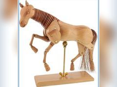 Lot 96-210010 - undefined