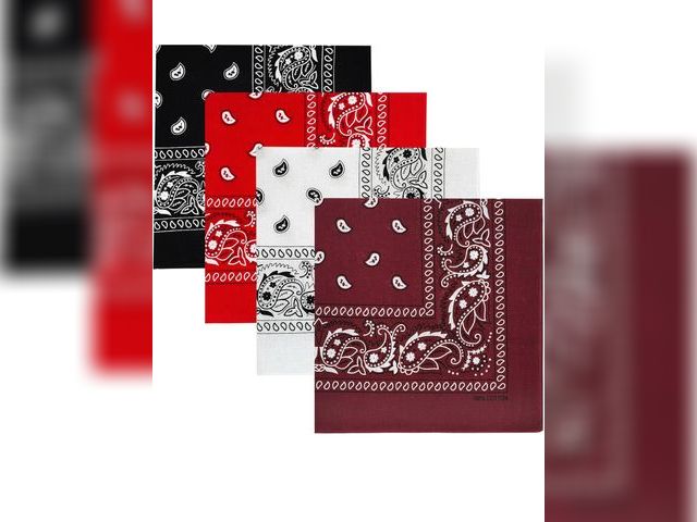 Lot 96-191960 - 4 pack multi colored bandanas New