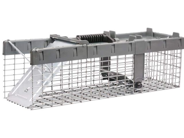 Lot 96-182105 - Havahart Small 1-Door Humane Catch-and-Release Live Animal Cage Trap for Squirrel, Weasel, Chipmunk ...