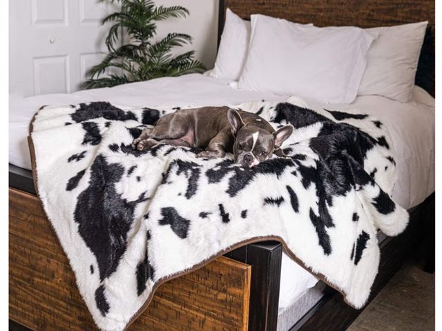 Lot 96-176629 - PupProtector Waterproof Throw Blanket for Dogs and Cats, Pet Blanket Cover for Couches, Sofas, Beds,...