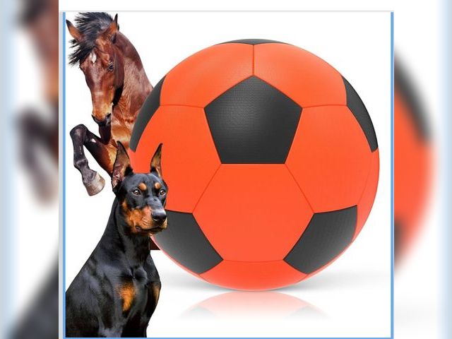 Lot 96-187459 - Diman Herding Ball for Dogs: 25 Inch Horse Balls for Outdoor Play, Giant Pet Toys Balls for Australi...