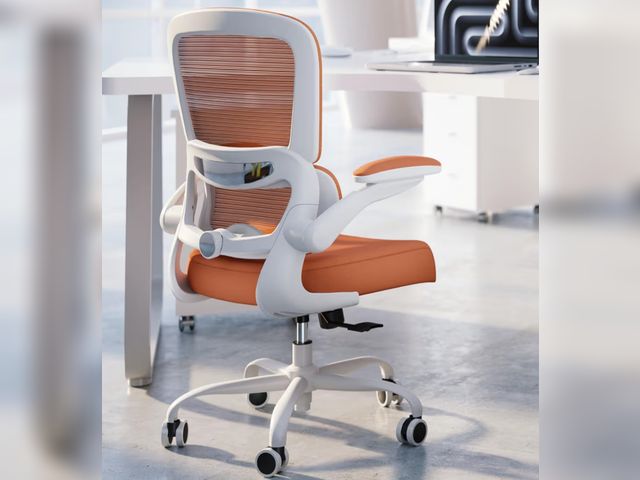 Lot 96-180487 - TRALT Office Chair - Ergonomic Desk Chair with Adjustable Lumbar Support, Mesh Computer Chair, Execu...