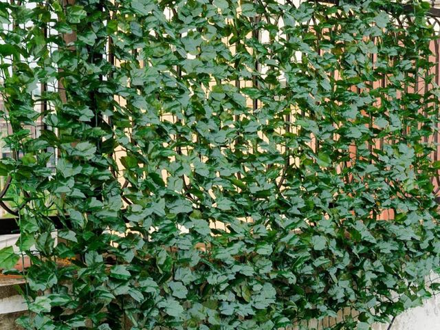 Lot 96-186574 - Giantex Artificial Faux Ivy Privacy Fence, 118"x59" Artificial Hedge Faux Ivy Vine Leaf Greenery Wal...