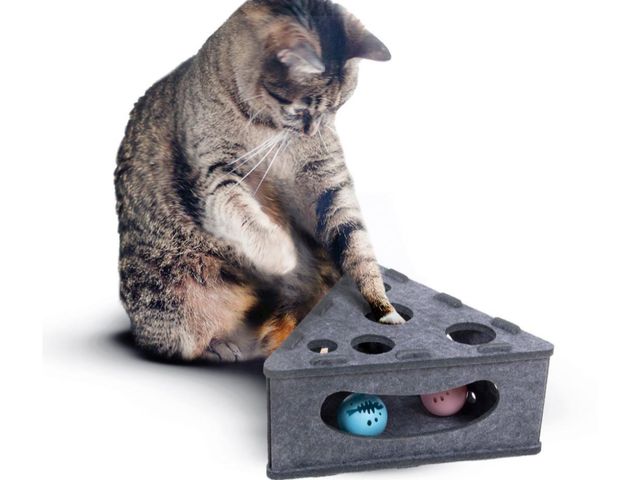 Lot 96-180465 - Cute Cheese Cat Activity Tree
Exact Model varies from stock photo 
Color yellow 
New