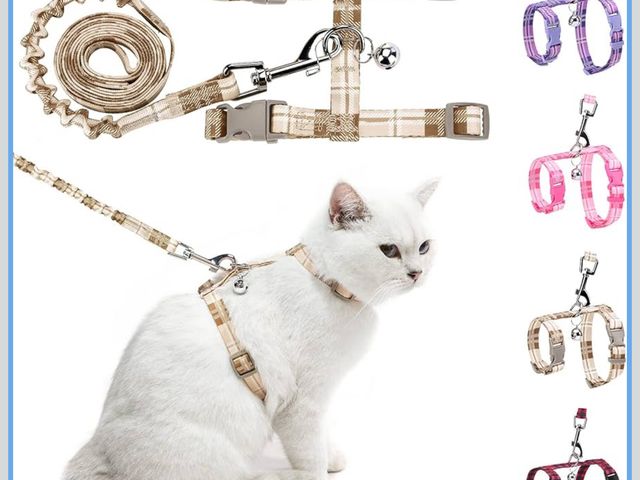 Lot 96-181488 - BEAUTYZOO Cat Harness and Leash Set Escape Proof for Walking, Kitten Soft Adjustable Vest Harnesses ...