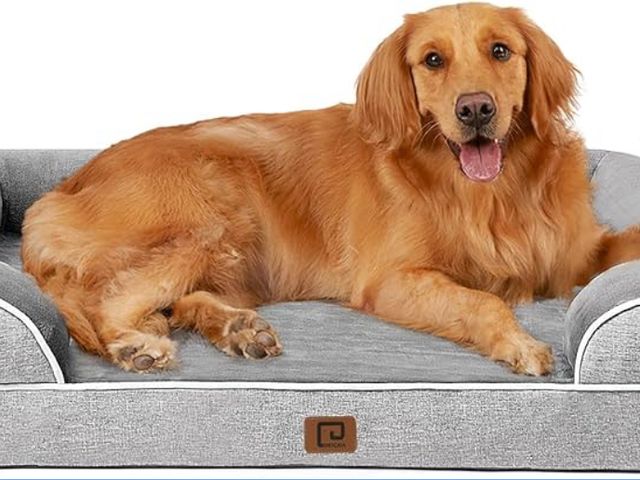 Lot 96-187487 - EHEYCIGA Orthopedic Dog Beds Large Sized Dog, Waterproof Memory Foam Pet Bed with Sides, Non-Slip Bo...