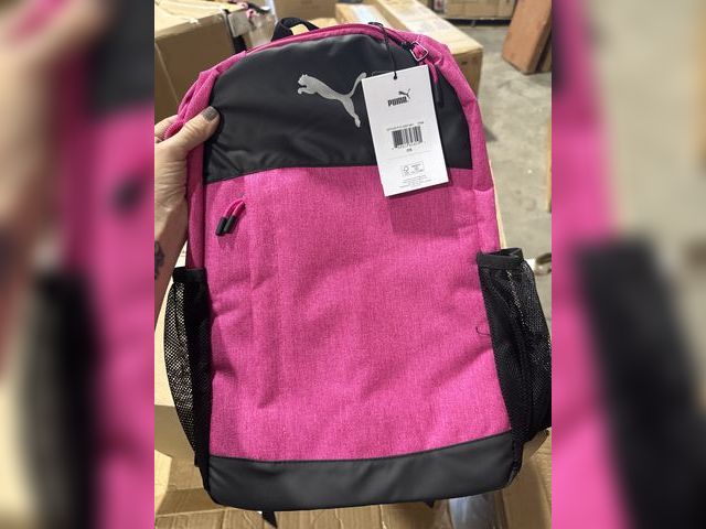 Lot 96-173347 - PUMA Terrain Backpack, Pink, OS
New