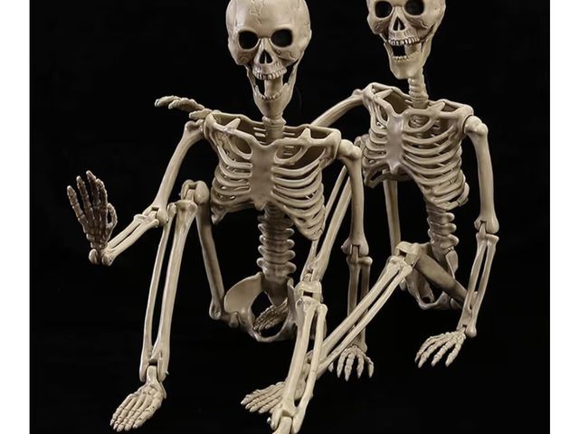 Lot 96-177592 - 2 Pack 40 Inches Halloween Skeleton Full Body Posable Movable Jonints for Halloween Decoration Décor...