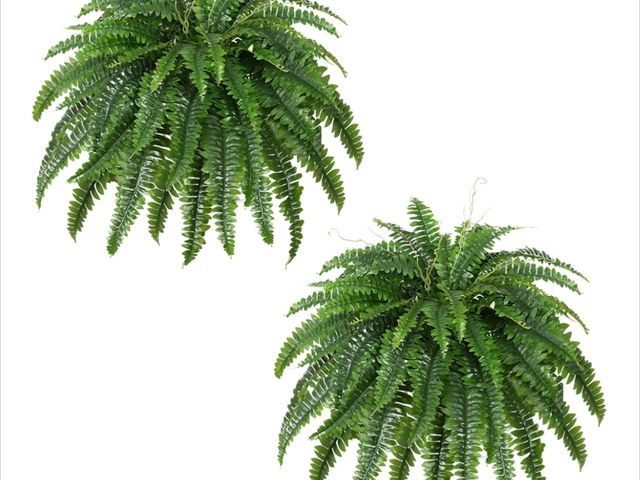 Lot 96-163682 - Artificial Boston Fern Bush- Set of 2 Large Artificial Ferns for Outdoors, 45Inch Large Faux Ferns, ...