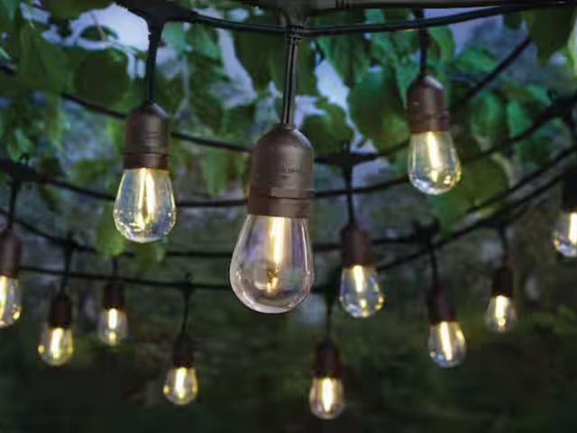 Lot 96-174615 - Hampton Bay 24-Light 48 ft. Plug-in Indoor/Outdoor Edison Patio String Light with S14 Single Filamen...