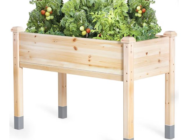 Lot 96-179575 - MIXC Wooden Raised Garden Bed with Legs, 48”L X 24”W, Elevated Reinforced Large Planter Box for Vege...