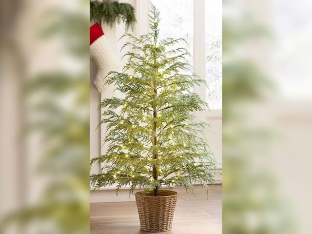 Lot 96-166178 - Potted 4ft Pre-Lit Twinkle LED Cypress Artificial Christmas Tree, Green, 100 LED, by My Texas House
...