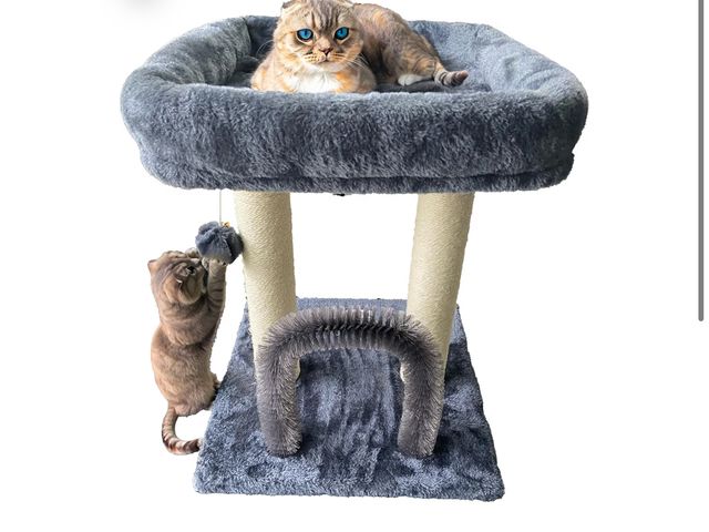 Lot 96-181383 - Cat Tree Tower 19.6 inch - 4 in 1 Dark Grey Cat Scratching Posts - Cat Arch Self Groomer Widen Base ...
