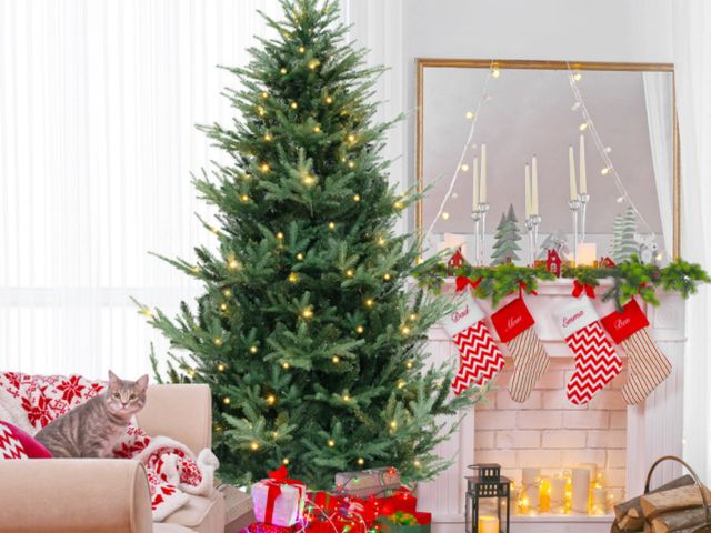 Lot 96-192519 - 8 Feet Pre-Lit Artificial Christmas Tree with Warm White LED Lights and Branch Tips
Open box 
Appear...