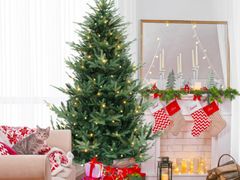 Lot 96-192519 - undefined