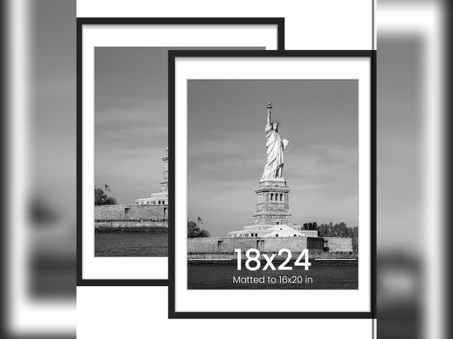 Lot 96-170954 - ENJOYBASICS 18x24 Picture Frame, Display Poster 16x20 with Mat or 18 x 24 Without Mat, Wall Gallery ...