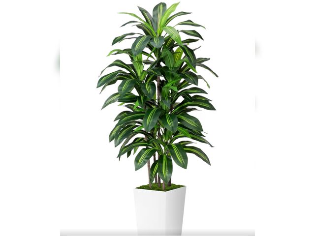 Lot 96-190209 - 5FT Artificial Dracaena Tree - Fake Tree with White Tall Planter Realistic 6-Trunk Faux Tree for Hom...