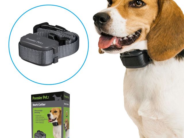 Lot 96-167352 - Premier Pet Bark Collar: Discourages Barking for All Size Dogs, Adjustable, Water Resistant, Gentle ...