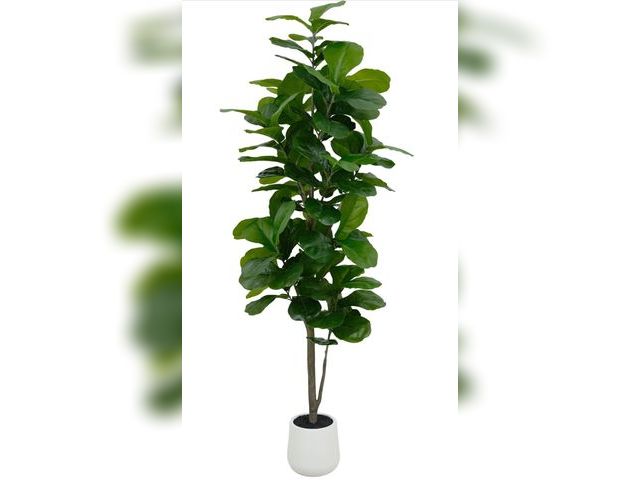 Lot 96-188102 - Artificial Fiddle Leaf Fig Tree 7ft - Lifelike Indoor Tall Faux Plant for Home &amp; Office Décor, L...