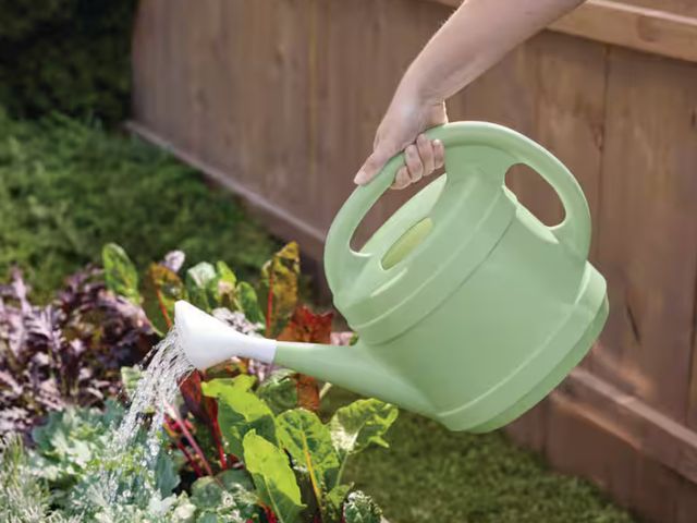 Lot 96-198928 - 2 Gal. Rosemary Green Modern Multi-Grip High-Density Plastic Watering Can
New, may be dusty from war...