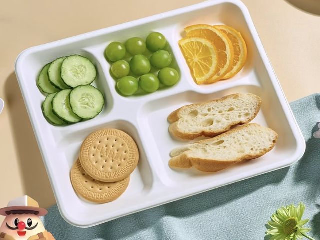 Lot 96-230370 - Compostable 5 Compartment 10*8.25*1 Inch 120 Pack Heavy Duty Paper Plates

New
