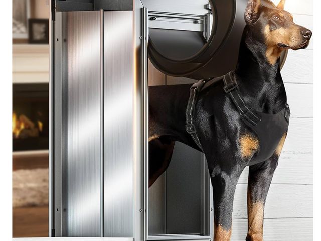 Lot 96-170294 - Dog Door for Wall, Large Doggie Door, Heavy Duty Pet Door with All Aluminum, 2 Magnetic Flaps, Wide ...