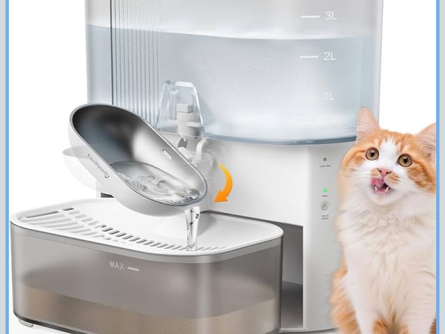 Lot 96-170244 - Wireless Cat Water Fountain No Filters, Wastewater Separation, FEELNEEDY Stainless Steel Bowl, 3.5L ...