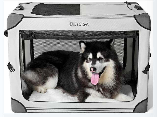 Lot 96-187712 - EHEYCIGA Collapsible Extra Large Dog Crate, 42 Inch Soft Portable
Exact Model may vary 
New