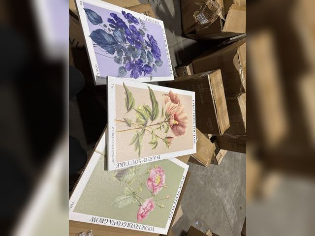 Lot 96-181581 - 3 Piece Floral Wall Canvas Prints

New