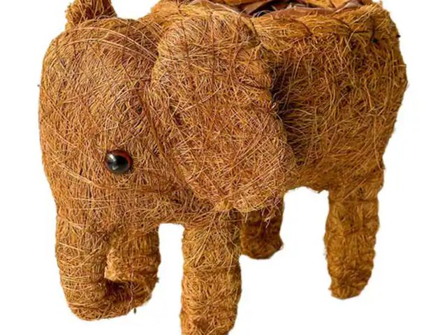 Lot 96-174430 - Pride Garden Products
AquaSav Coco Critter Elephant fits 4 in drop-in pot
New