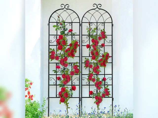 Lot 96-163689 - Lorenzo 2 Pcs 70 x 19.7 inch Metal Garden Trellis for Climbing Plants, Black Metal Coating Rustproof...