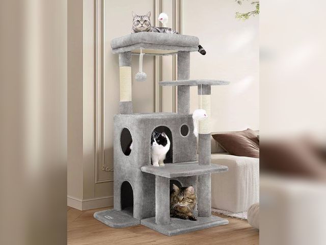 JDCBidding.com - Lot 96-175562 - Globlazer Cat Tree Tower for Indoor ...
