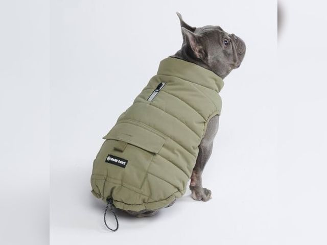 Lot 96-191513 - Spark Paws Dog Winter Jacket, Water-Resistant Coat, Warm Reflective Windproof Fleece-Interior, for M...