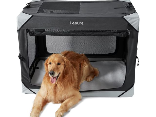 Lot 96-210276 - Lesure Collapsible Dog Crate - Portable Travel Kennel for Extra Large Dog, 4-Door Pet Crate with Mes...