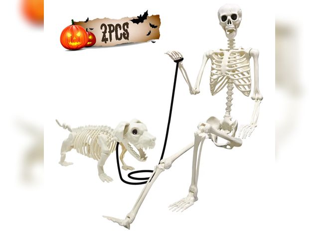Lot 96-178862 - UMEELR 5.4FT Halloween Skeletons, Full Size Skeleton with Skeleton Dog, Plastic Life Size Human Skel...