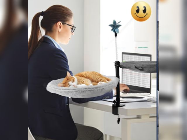 Lot 96-193058 - Large Cat Desk Bed with Hammock | Ultra-Soft Removable Fur &amp; Breathable Mesh Pad | Desk-Mounted ...