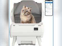 Lot 96-197493 - undefined