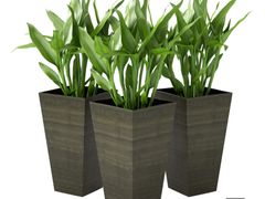 Lot 96-159607 - undefined