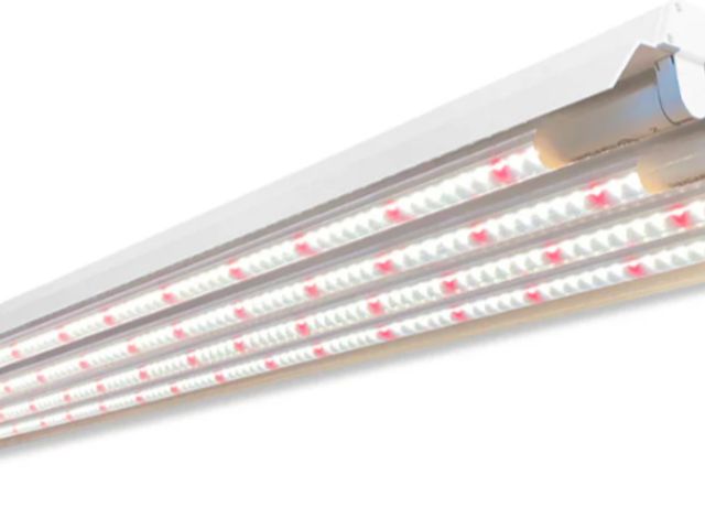 Lot 96-210459 - HYDRO PLANET T5 Grow Lights 4 Feet 4 Bulbs Fixture with Fluorescent HO Bulbs 6500K | Indoor Plant Li...