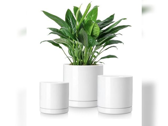 Lot 96-233285 - Ceramic Plant Pots, 3 Piece Planters for Indoor Plants, White New
