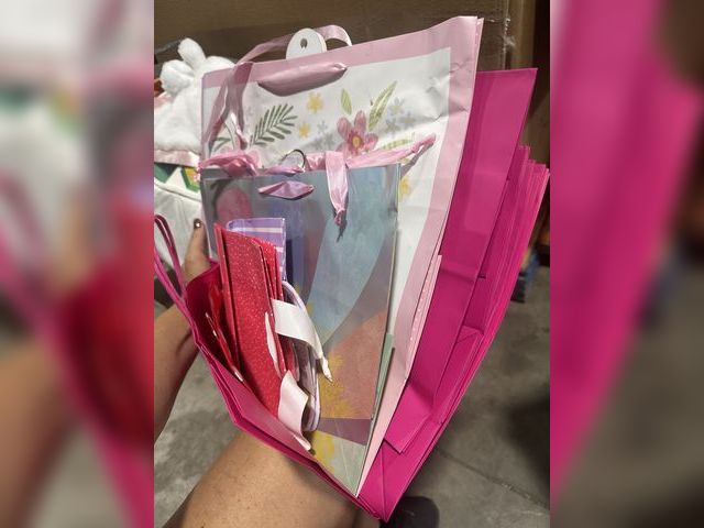 Lot 96-164779 - Lot of assorted gift bags 
New