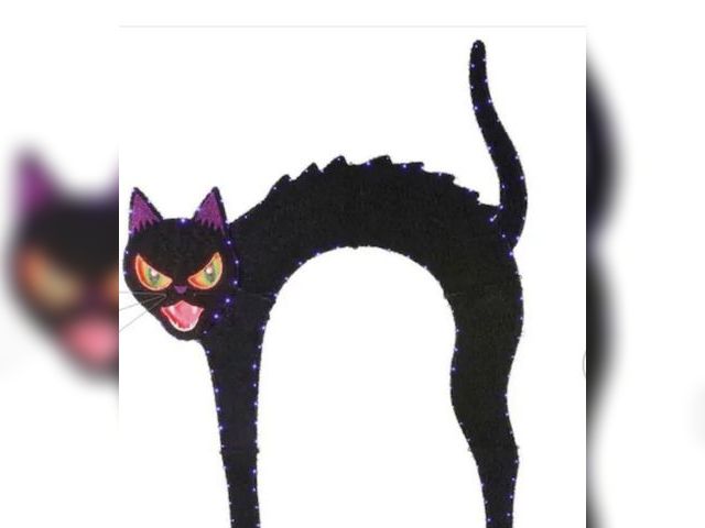 Lot 96-182401 - Home Accents Holiday
9.5 ft. Halloween Classics
Giant-Sized Color Changing
LED Black Cat Archway
use...