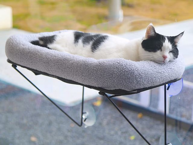 Lot 96-187398 - Zakkart Cat Window Perch - 100% Metal Supported from Below - Comes with Warm Spacious Pet Bed - Cat ...