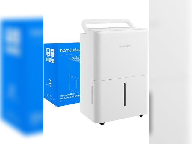 Lot 96-177678 - hOmeLabs 8 Pint Wi-Fi Dehumidifier for up to 1,800 Sq Ft Rooms (MAX 24 Pint at 95°F, 90% RH) – Ultra...